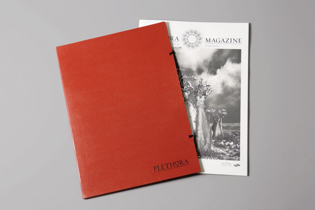 Plethora-Magazine.140893