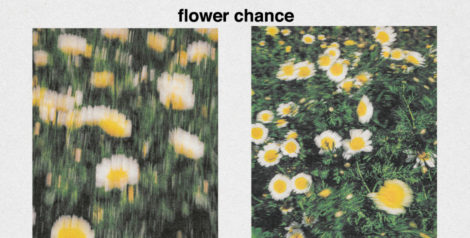flower chance