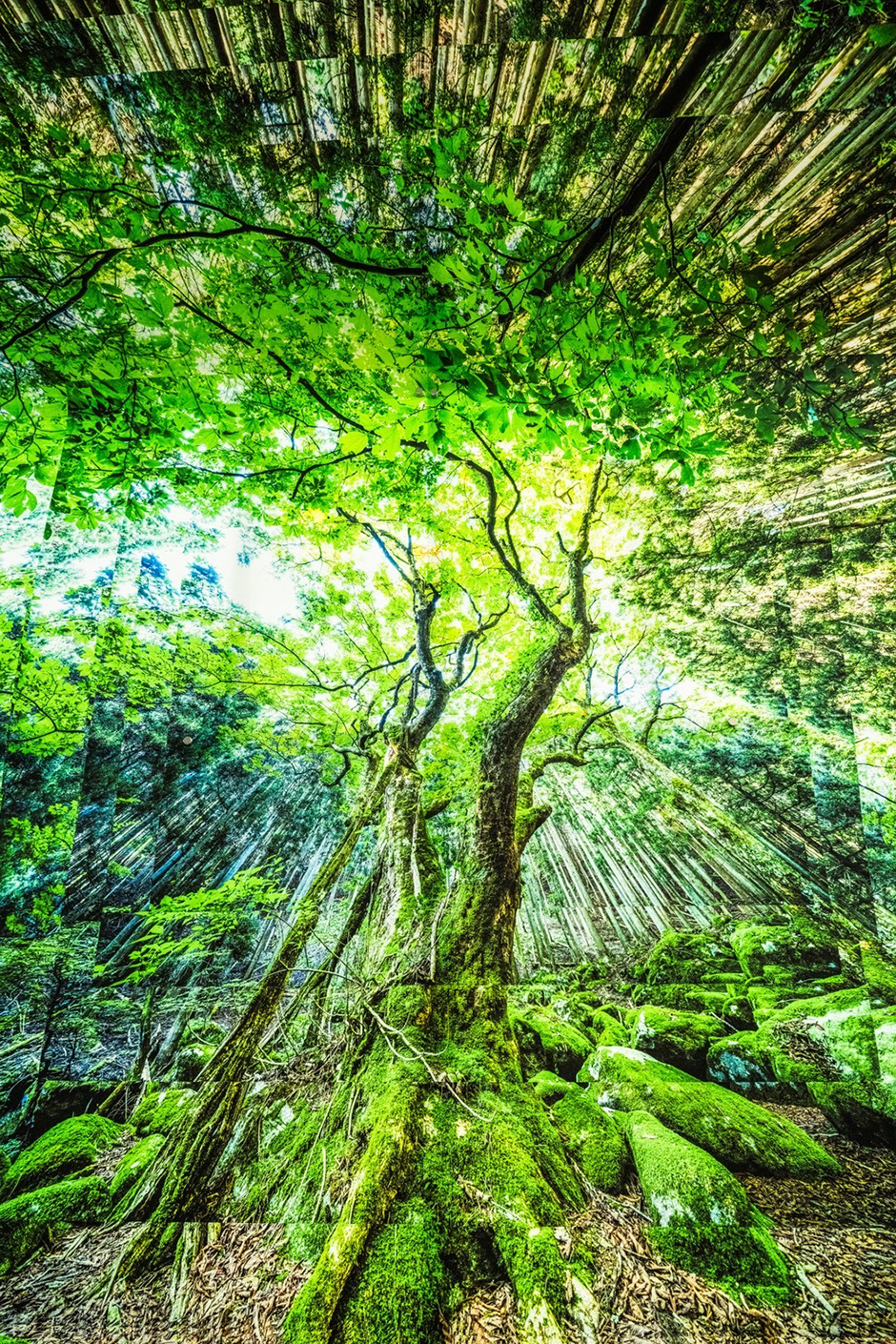 Chilho Tanaka photo exhibition MAIDEN VOYAGE NAGOYA