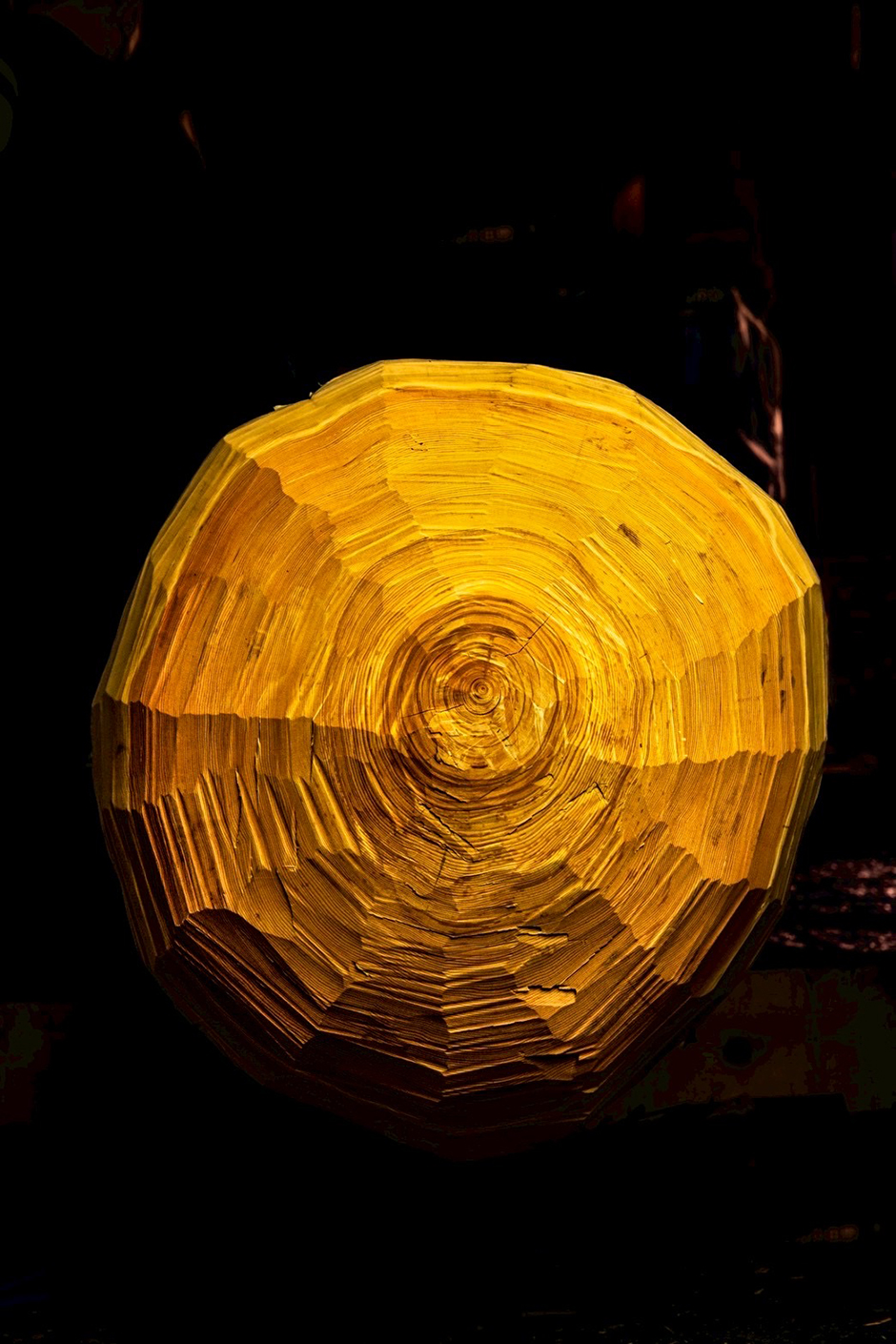 Chilho Tanaka photo exhibition MAIDEN VOYAGE NAGOYA