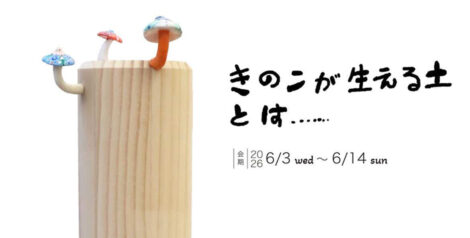 きのこが生える土とは.....